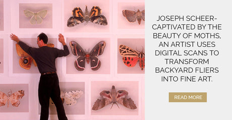 Joseph Scheer- Captivated by the beauty of moths, an artist uses digital scans to transform backyard fliers into fine art.