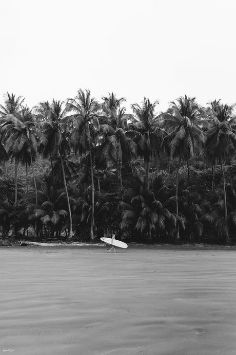 THE SURF COMMUTE: A black and white photo of a lone surfer walking across a sandy beach, carrying their surfboard. The background is filled with tall palm trees, creating a tropical and serene atmosphere.