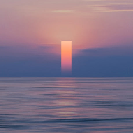 HORIZONS II: A single palm tree grows through a skylight in a white room. The skylight illuminates the room, casting shadows on the white walls. The scene is minimalist and serene, conveying a sense of tranquility and connection to nature.