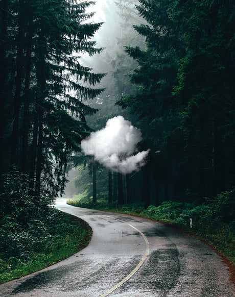 ALIVE: A winding asphalt road cuts through a dense, evergreen forest. The road appears wet, likely from recent rain. The forest is shrouded in mist, giving the scene an ethereal feel. A single, white cloud floats in the middle of the image, adding to the surreal atmosphere.