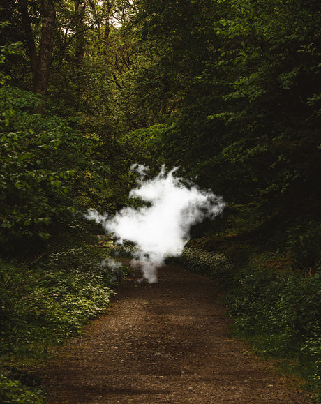 CLOUD III: A large white cloud of smoke billows upward in a forest pathway. The dense foliage of the trees forms a dark backdrop, creating a dramatic contrast with the bright, ethereal smoke.