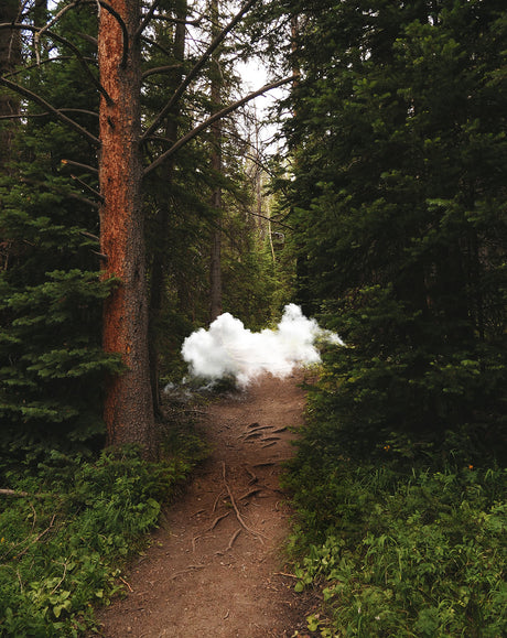 CLOUD I: A dirt path winds through a lush green forest. Tall trees line the path, their branches reaching towards the sky. The path leads to a patch of white clouds, which seem to be floating in the air. The exposed tree roots can be seen on the path, making it a little more challenging to walk on.