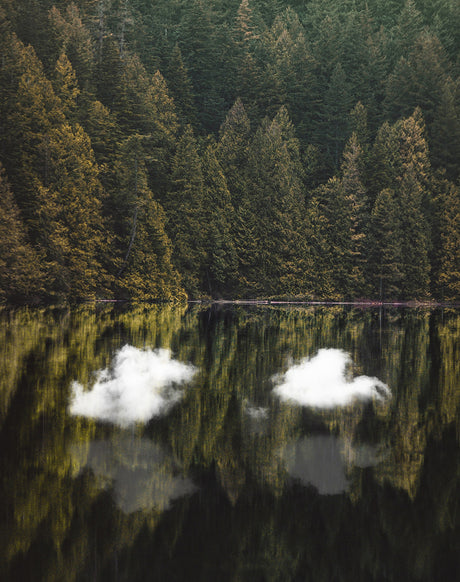 MEET: A tranquil scene of a pristine lake surrounded by a dense evergreen forest, with two white clouds reflected in the still water. The image showcases the serene beauty of nature and the tranquility of a secluded forest setting.