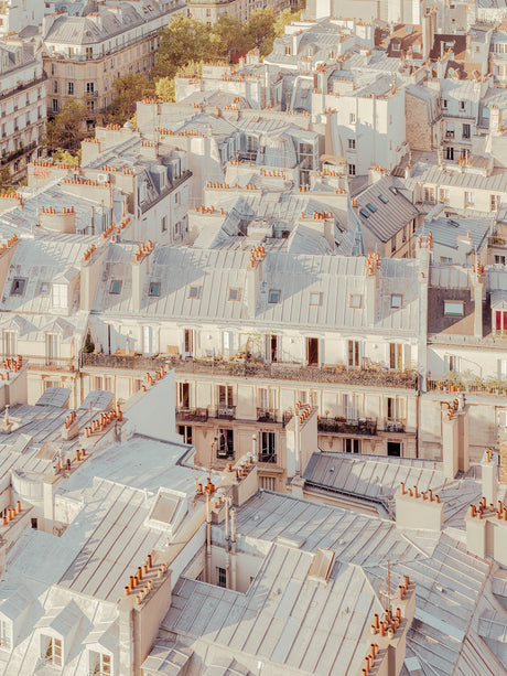 PARIS ROOFTOP: This image shows a birds-eye perspective of the rooftops of Paris, France. The buildings are in a grid-like pattern, and the roofs are all made of a light gray material. The buildings are old and have a lot of character. The sunlight is casting a warm glow on the scene.