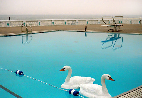 SWAN LAKE: A photograph of a pool located near the ocean, featuring two white swan-shaped pool floats. The pool is surrounded by a white tiled deck and a low white wall. A diving board is located on the far side of the pool, and a person is visible in the distance.