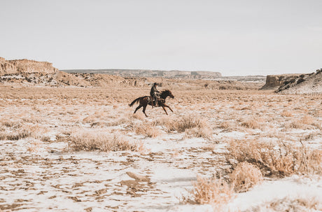 GIDDY UP COWBOY: This image shows a lone cowboy riding a horse across a vast, dry desert landscape. The ground is covered in sparse vegetation and patches of snow. The rider is wearing traditional cowboy attire, and the horse is brown and sleek. The horizon is dominated by distant, eroded rock formations.