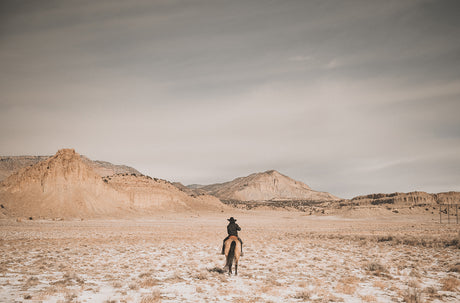 LONESOME COWBOY: A lone rider on horseback travels across a desolate, barren landscape. The rider is dressed in a black jacket and hat, and their horse is brown with a white mane. The sky is overcast and there are mountains in the distance. The ground is mostly covered in dry, brown grass, but there are patches of snow, indicating that winter is coming. The image captures a sense of isolation and solitude, with the rider small against the vastness of the landscape.