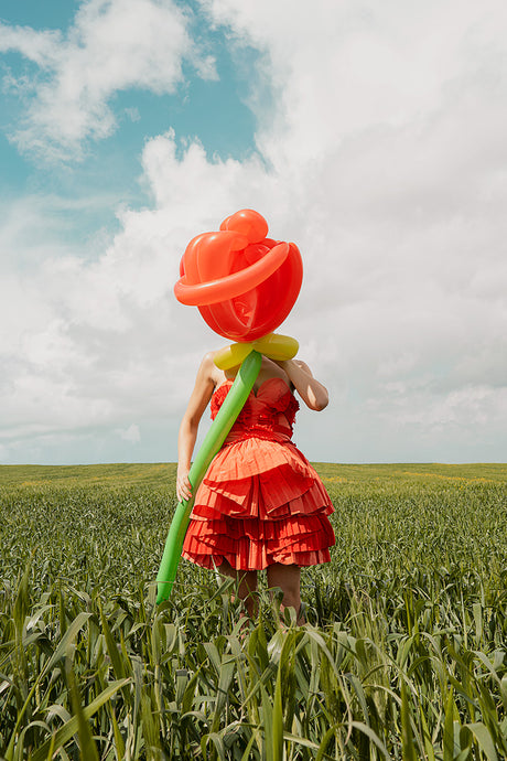 WILD ROSE: A woman in a red dress stands in a field of green grass, holding a giant balloon rose in front of her face. The sky is blue with white clouds.