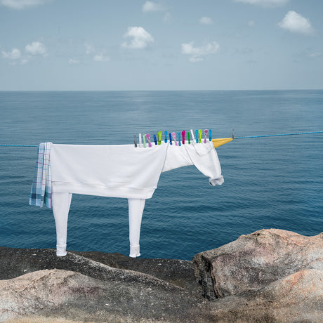 UNICORN: A white sweatshirt hangs on a clothesline, shaped into a unicorn with clothespins for a mane. The clothesline is stretched between two rocks overlooking the ocean. The sky is blue with white clouds.