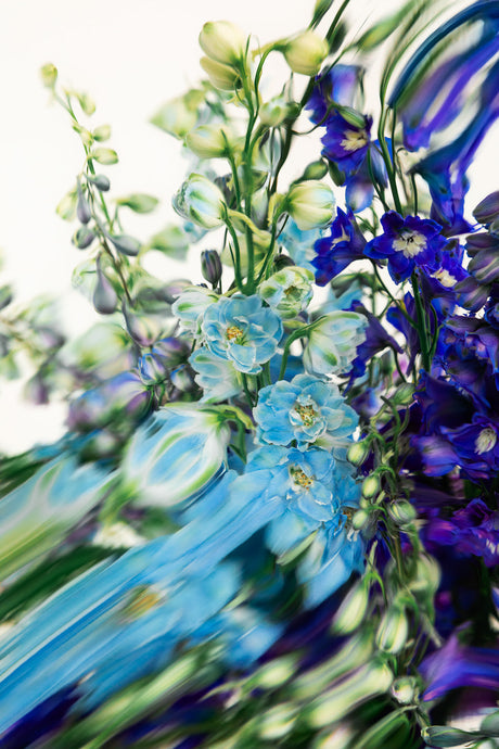 DELPHINIUMS 1: A close-up photograph of a bouquet of blue and purple delphiniums, with a motion blur effect applied to the image. The flowers are in focus, while the background is blurred, creating a sense of movement and energy.