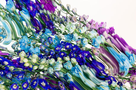 DELPHINIUMS 4: A close-up photograph of a vibrant bouquet of blue, purple, and white flowers arranged in a diagonal pattern. The image has a blurred effect, adding a sense of motion to the floral arrangement.