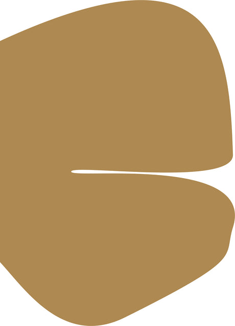 DARK KHAKI: A simple digital illustration of a brown abstract shape against a white background. The shape is organic and flowing, resembling a leaf or a cloud. The brown hue is warm and inviting, suggesting a sense of earthiness or tranquility.