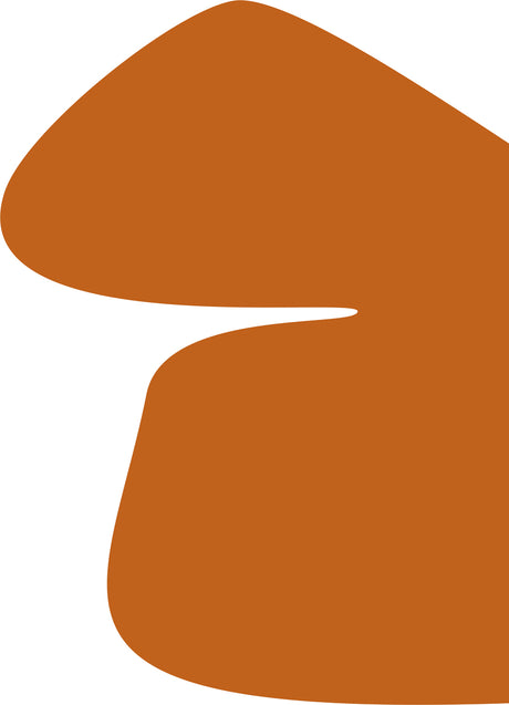 ISLAND SOIL: This is a digital illustration of a single, abstract orange shape on a white background. The shape is irregular and appears to be made up of two joined shapes, one rounded and one somewhat triangular.