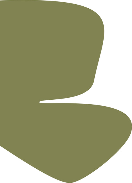 SERIOUS SAGE: An abstract image with two olive green shapes against a white background. The shapes are slightly irregular, one is larger and situated at the top and the other is smaller and situated below it. The shapes are reminiscent of natural forms, like leaves or stones.