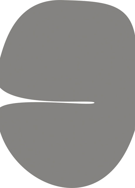 SLATE: A digital illustration of a gray abstract shape with a thin white line separating the top and bottom portions. The shape is reminiscent of a bean or a droplet. The background is white.