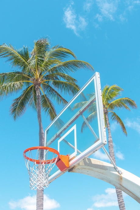 PALM HOOPS 2: A basketball hoop is set against a backdrop of two tall palm trees with a bright blue sky overhead. The white backboard is partially visible with the orange rim and net in focus. This image captures the relaxed summer vibes of a casual outdoor basketball game.