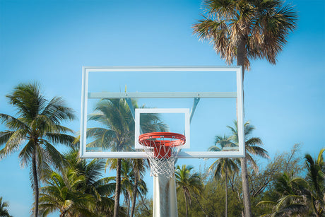 PALM HOOPS: This image shows a basketball hoop on a metal pole, surrounded by tall palm trees. The sky is a clear blue, and the sun is shining brightly. The hoop is made of metal and glass, and the net is orange. The palm trees are green and lush, and they create a tropical backdrop for the basketball hoop.