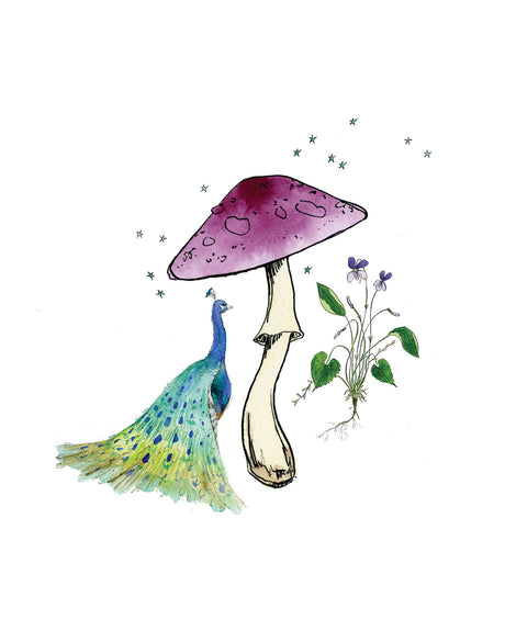 PURPLE MUSHROOM: This image depicts a watercolor illustration of a peacock, a large mushroom, and some small purple flowers. The peacock is standing on its left leg with its tail feathers spread out behind it. The mushroom is in the background, to the right of the peacock, and is a large, pale mushroom with a purple cap. The flowers are at the base of the mushroom and are small and purple. The image is rendered in a whimsical, slightly cartoonish style.