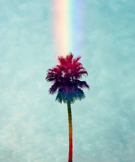 IMAGINE: A tall palm tree with a vibrant, colorful trunk stands against a cloudy blue sky. A rainbow arches over the top of the tree, creating a visually striking contrast. The image is captured on a day with a partly cloudy sky, showcasing the natural beauty of a tropical landscape.