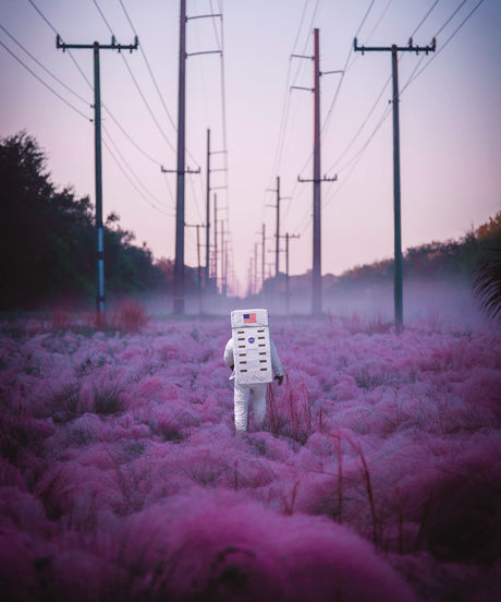 WAKE UP AMERICA: An astronaut in a white spacesuit walks through a field of pink vegetation, with power lines running in the distance. The background is slightly foggy, creating a sense of mystery and solitude.