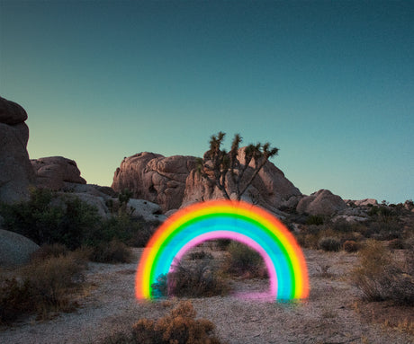 RAINBOW: A vibrant, neon rainbow arc painted onto the ground in the desert landscape of Joshua Tree National Park. The rainbow is centered in front of a Joshua Tree, and the scene is lit by the setting sun, casting a warm glow on the rocks and plants.