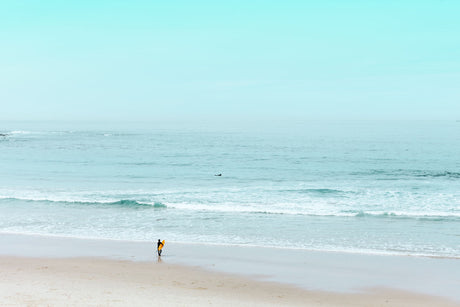 CALIFORNIA 2017: A solitary surfer standing on a sandy beach, facing the ocean. The water is a tranquil turquoise, with gentle waves lapping at the shore. A clear blue sky stretches overhead, creating a serene and inviting atmosphere.