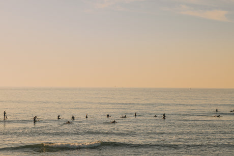 SURFING SUNRISE: A wide shot of people surfing in the ocean at sunset. The sky is a pale pink and orange, and the water is a light blue. The surfers are silhouetted against the setting sun, and their forms are barely visible against the vast expanse of the ocean.