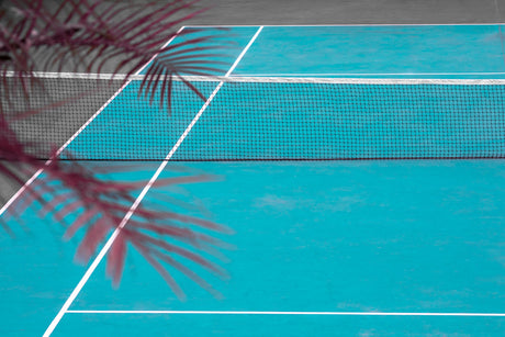 PHILIPPOUSSIS: A blue tennis court with white lines and a black net. The foreground is filled with the shadow of a palm tree, which is partially visible in the upper left corner of the image. The court is empty, giving the impression of a tranquil space ready for play.