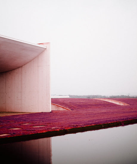 HEART 01: A modern architectural structure stands on a pink landscape, showcasing a unique design element with an overhang and a reflective surface. The surrounding area is covered in a soft pink hue, creating a surreal and peaceful atmosphere. The scene is shrouded in a light fog, adding to the mysterious and enchanting character of the image.