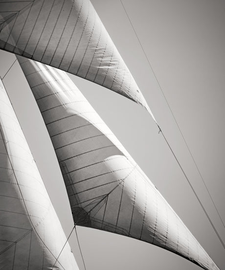 SAILS IV COTE D'AZUR: A black and white photograph of the sails of a sailboat against a clear sky. The sails are billowing in the wind, and the sunlight is casting shadows on the fabric. The image captures the beauty and grace of sailing.