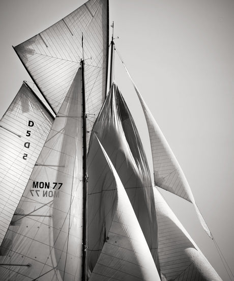 SAILS XII COTE D'AZUR: A black and white photograph of a sailboats sails, taken from a low angle. The sails are billowing in the wind, creating a sense of movement and power. The mast and rigging are visible in the background.