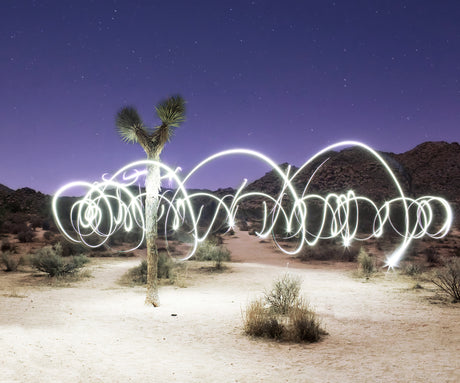 JOSHUA TREE NATIONAL PARK: A single Joshua Tree stands tall in the middle of a desert landscape illuminated by light painting under a starry night sky. The light trails create a mesmerizing abstract pattern, highlighting the beauty of the desert environment.