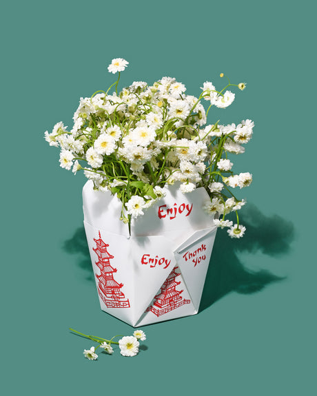 TAKEOUT FLORALS: A white takeout container with red Chinese characters and the word Enjoy sits on a teal background, filled with a bouquet of white daisies. A few daisies have fallen from the container, adding to the whimsical feel of the image.