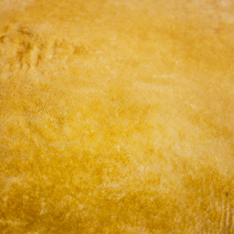 STUDY II: This is a close-up image of a textured surface that is predominantly yellow. The surface appears to be slightly grainy or rough, with subtle variations in color and texture. It could be a natural material like sandstone, or a man-made material like concrete or plaster. The image captures the intricate details of the surface, revealing its unique pattern and composition.