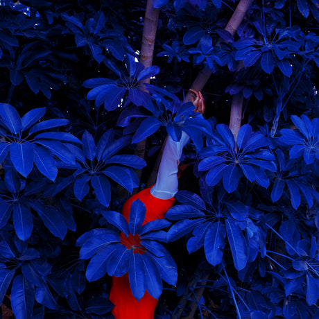 BLUE JUNGLE: A person wearing a red skirt and a white shirt is reaching through a dense thicket of blue leaves. Their hands are outstretched, and the leaves obscure most of their body. The image is likely taken outdoors, as the background suggests a natural setting.