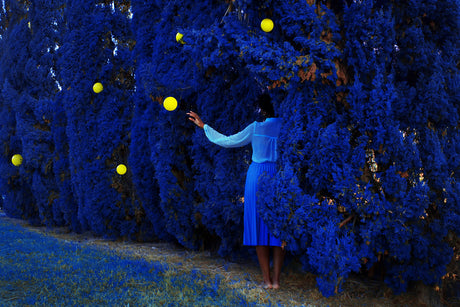 WISHFUL STAR: A woman, wearing a blue dress and a white blouse, reaches out to touch a yellow orb that floats amidst a grove of blue-hued trees. The vibrant yellow of the orb stands out against the deep blue of the foliage, creating a striking visual contrast. The womans bare feet and the soft, grassy ground beneath suggest a sense of connection to nature.