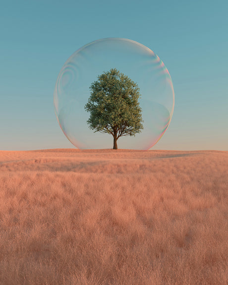 DAYDREAM 01: A single tree stands in a field of dry grass, protected by a large, transparent bubble. The sky is a bright blue, suggesting a clear day. The image has a surreal and dreamlike quality.