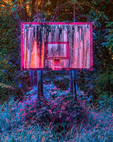 BALCONCESTO BOTANICO: A weathered basketball hoop stands tall in a lush forest setting at dusk. The hoop is worn and faded, with streaks of paint and rust covering its surface. The surrounding foliage is vibrant and lush, creating a stark contrast to the aged hoop. The soft light of dusk casts a warm glow over the scene, highlighting the beauty of the natural world.