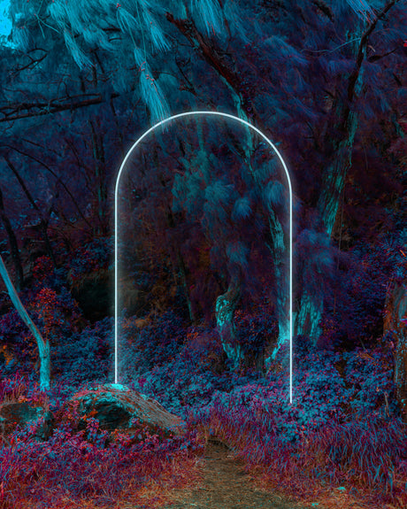 DESTINATION THERE: A luminous white archway stands tall in the center of a dense, otherworldly forest. The trees and foliage glow in a vibrant blue and purple hue, creating a dreamlike atmosphere. The archway seems to be the entrance to a hidden realm, inviting the viewer to step through and explore.