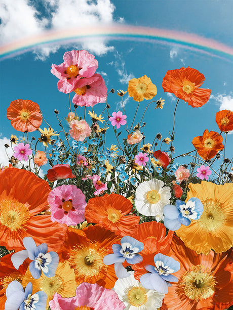 POPPY RAINBOW: A vibrant photograph captures a field of wildflowers in full bloom, including bright orange poppies, pink blossoms, and delicate blue flowers. The image features a rainbow arching across a blue sky, creating a picturesque scene that evokes joy and tranquility.