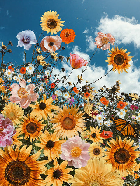 SUNFLOWER HEAVEN: A colorful display of wildflowers and sunflowers bloom under a bright blue summer sky, with fluffy white clouds drifting across the canvas. The vibrant flowers create a sense of joy and exuberance, a testament to the beauty of nature.