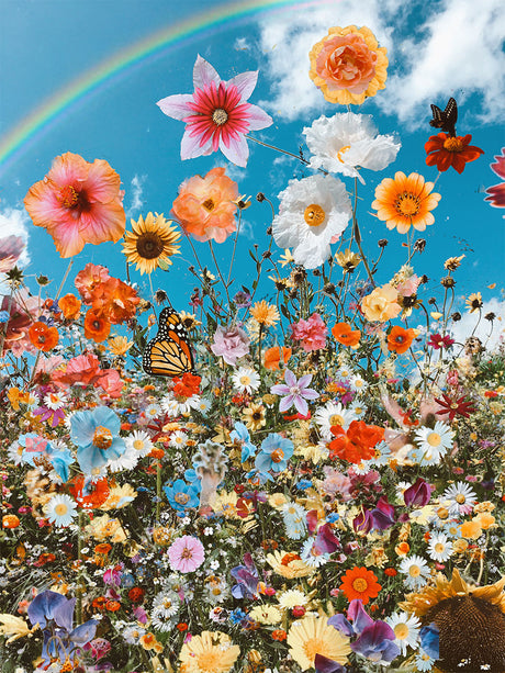 WILD PT2: A vibrant meadow filled with a variety of wildflowers in full bloom. A rainbow arcs overhead, and two butterflies flutter among the flowers. The scene is bright and cheerful, showcasing the beauty of nature.