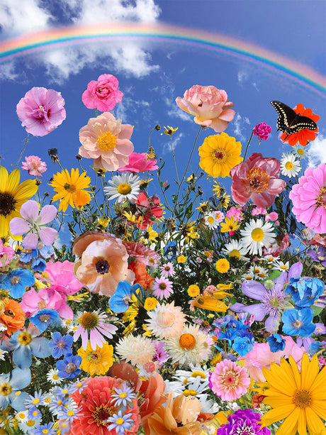 WILD PT3: A vibrant image showcasing a meadow teeming with wildflowers of various colors and shapes, set against a backdrop of a bright blue sky with a rainbow arching overhead. The flowers, including poppies, daisies, and roses, are arranged in a natural, chaotic manner, creating a beautiful and lively composition. A single butterfly gracefully flies above the floral tapestry, adding to the overall sense of natures beauty.