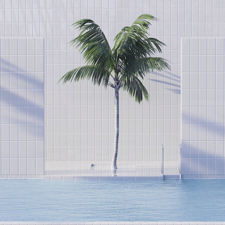 SINGLE PALM 3: A single palm tree grows out of the top of a white tile wall beside a swimming pool. The tiles are all square and arranged in a simple grid pattern. The water in the pool is a light blue color. The image is taken from a low angle, looking up at the palm tree.