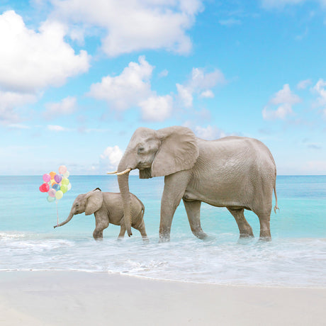 A WALK ON THE BEACH: A large adult elephant and a smaller baby elephant walk through the shallow water of the ocean. The sky is blue with white clouds, and the sand is white. The baby elephant is holding a string of colorful balloons.