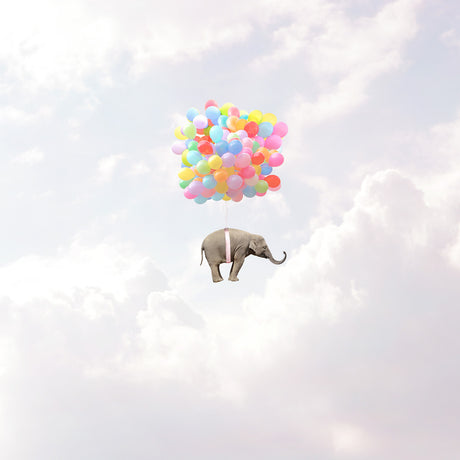 FEATHERWEIGHT: This whimsical image shows a baby elephant floating through a cloudy sky, tethered to a large cluster of colorful balloons. The elephants trunk points forward as if its eager to explore the vast expanse above. The image conveys a sense of childlike wonder and the possibility of dreams coming true.