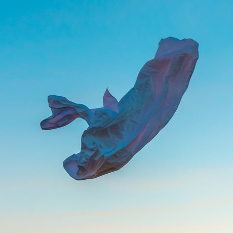 VIENTO 22: A white plastic bag floats in the sky at dusk. The bag is illuminated by the setting sun and casts a shadow against the bright blue sky.