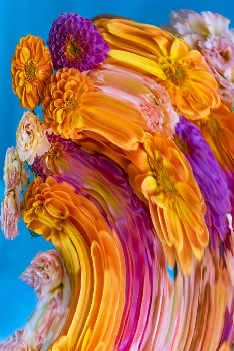 DAWN 1: This abstract image depicts a close-up of a bouquet of flowers. The flowers are mostly orange, yellow, purple, and white, with the petals blurred and the colors swirling to create an almost painterly effect. The background is a vibrant blue, which contrasts sharply with the colors of the flowers.