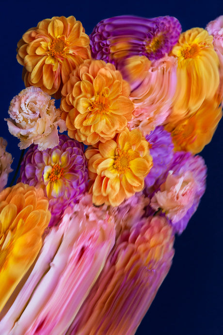 DUSK 1: A close-up image featuring a bouquet of orange and purple flowers with a dark blue background. The flowers are in focus, with soft, blurred edges. The image captures the vibrant colors and textures of the blooms, creating a visually stunning and artistic composition.