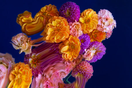 DUSK 3: This image shows a close-up of a vibrant flower bouquet featuring orange, pink, and purple flowers. The bouquet appears to be arranged in a vase, with the flowers spilling over the edge. The background is a deep, rich blue, providing a striking contrast to the colorful flowers.